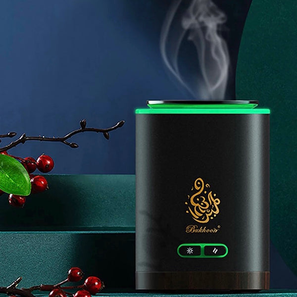 Portable electronic incense burner with multiple rechargeable lights